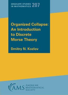 Organized Collapse: An Introduction to Discrete Morse Theory