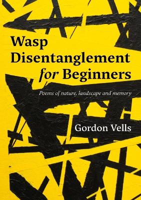 Wasp Disentanglement for Beginners