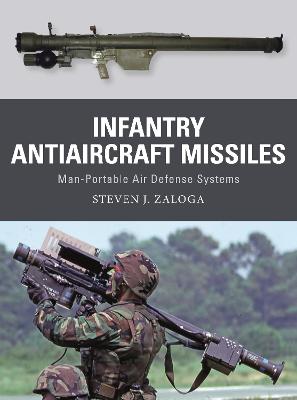 Infantry Antiaircraft Missiles