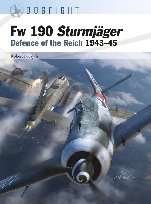 Fw 190 Sturmjaeger