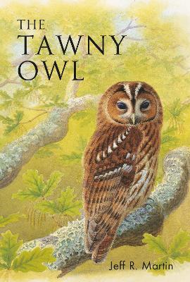 The Tawny Owl