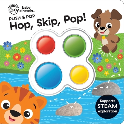 Baby Einstein Skip Hop Pop Push & Pop