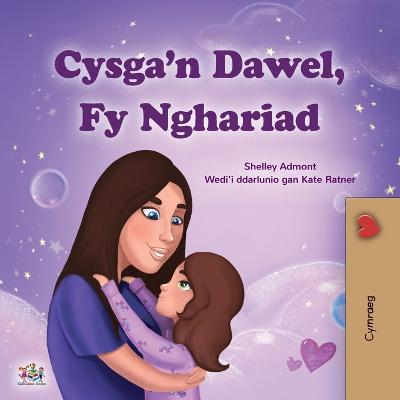 Sweet Dreams, My Love (Welsh Children's Book)