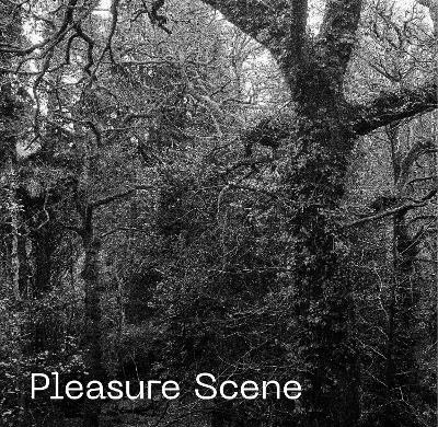 Pleasure Scene