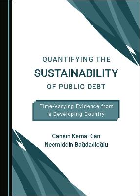 Quantifying the Sustainability of Public Debt