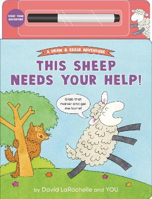 This Sheep Needs Your Help!