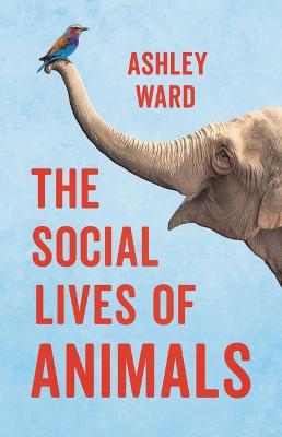 Social Lives of Animals