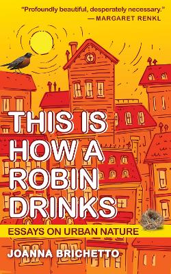 This Is How a Robin Drinks