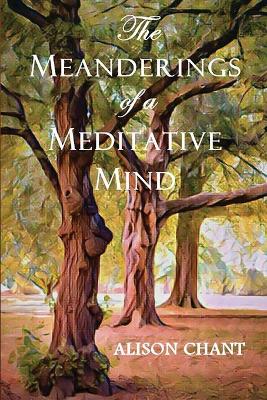 The Meanderings of a Meditative Mind