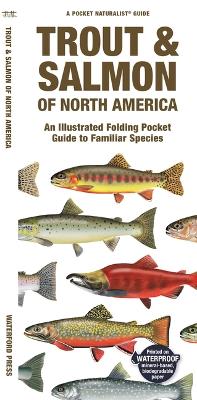Trout & Salmon of North America