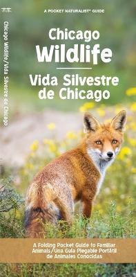 Chicago Wildlife/Fauna de Chicago