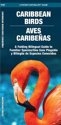 Caribbean Birds/Aves Caribenas