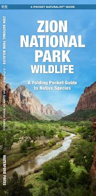 Zion National Park Wildlife