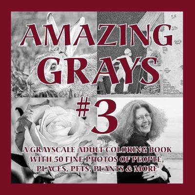 Amazing Grays #3
