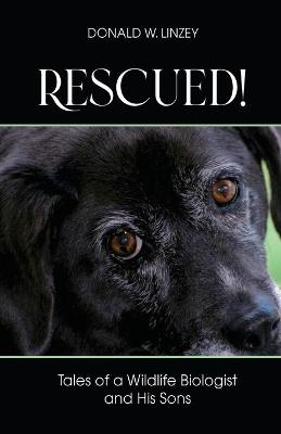 Rescued!