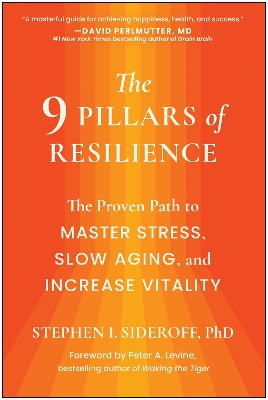 9 Pillars of Resilience