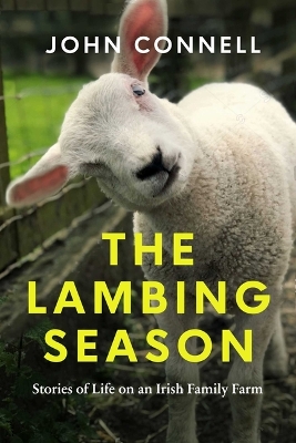 Lambing Season