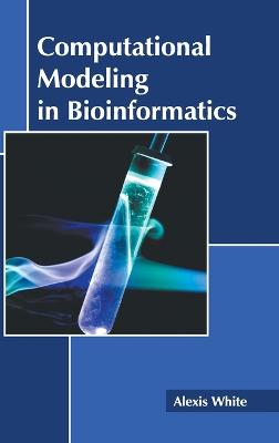 Computational Modeling in Bioinformatics