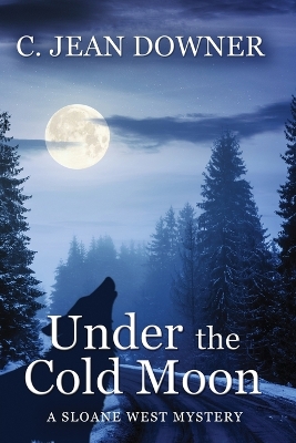 Under the Cold Moon