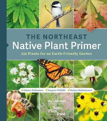 Northeast Native Plant Primer