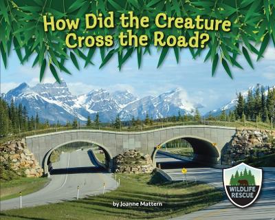 How Did the Creature Cross the Road?