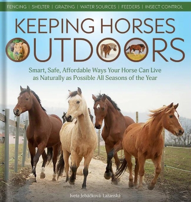 Keeping Horses Outdoors