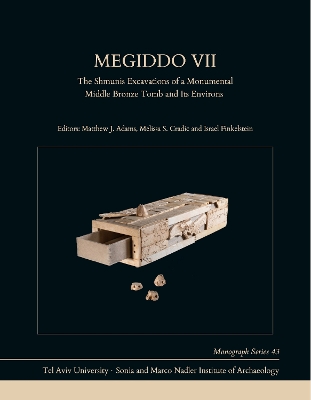 Megiddo VII