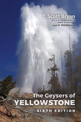 Geysers of Yellowstone