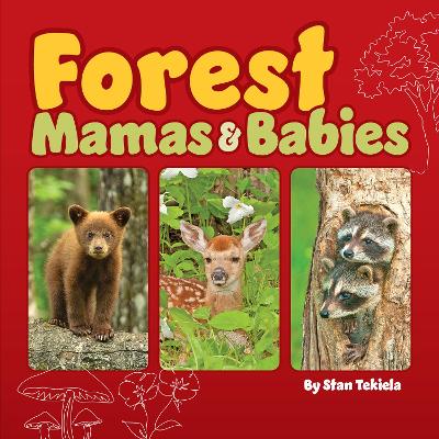 Forest Mamas and Babies