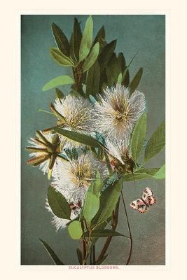 Vintage Journal Eucalyptus Blossoms