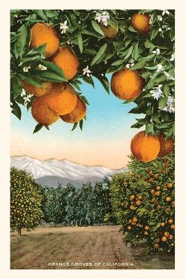 Vintage Journal Orange Grove with Mountains in Background