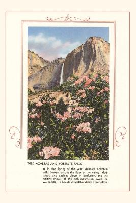 Vintage Journal Wild Azaleas at Yosemite