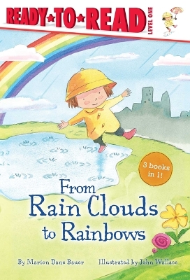 From Rain Clouds to Rainbows