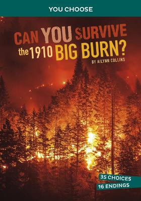 Can You Survive the 1910 Big Burn