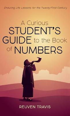 A Curious Student's Guide to the Book of Numbers