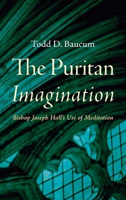 Puritan Imagination