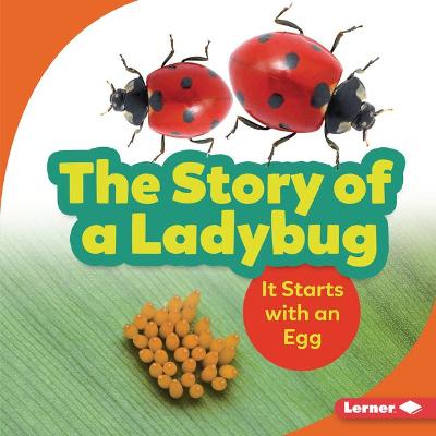 The Story of a Ladybug