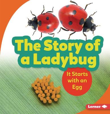 The Story of a Ladybug
