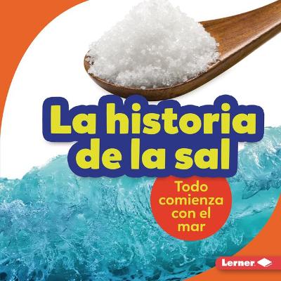 Historia de la Sal (the Story of Salt)