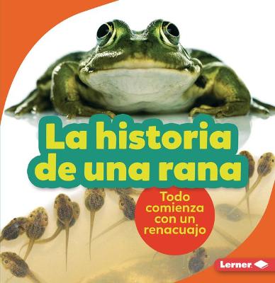 Historia de Una Rana (the Story of a Frog)