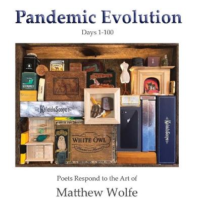 Pandemic Evolution