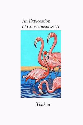 An Exploration of Consciousness VI