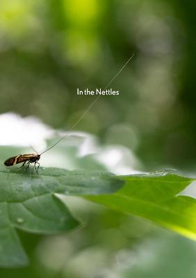 In the Nettles