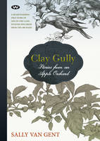 Clay Gully