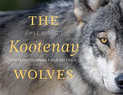 Kootenay Wolves