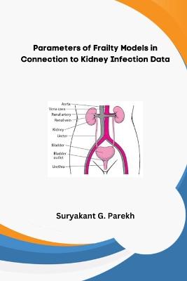 Parameters of Frailty Models in Connection to Kidney Infection Data