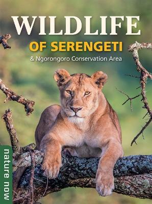 Wildlife of Serengeti & Ngorongoro Conservation Area