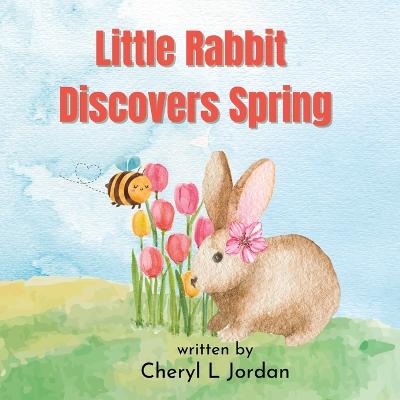 Little Rabbit Discovers Spring