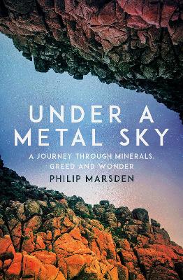 Under a Metal Sky