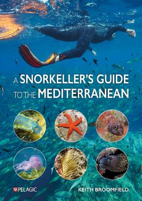 Snorkeller's Guide to the Mediterranean